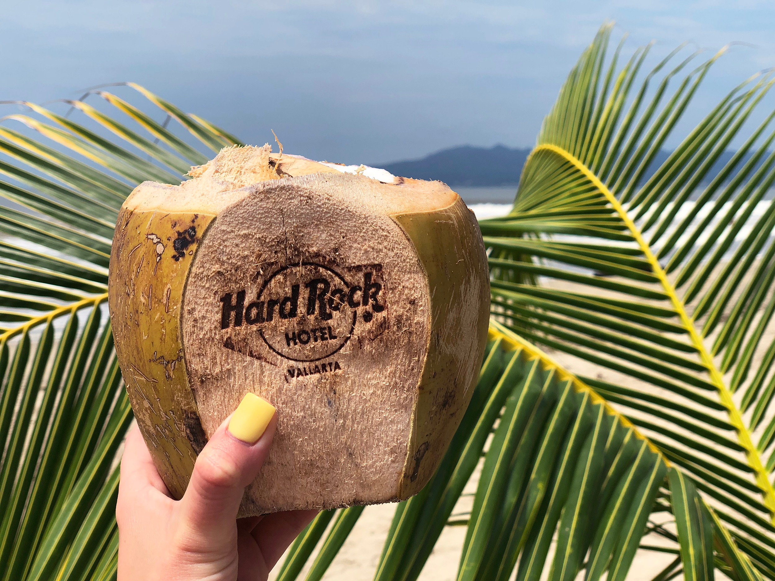 Hard Rock Hotel Vallarta